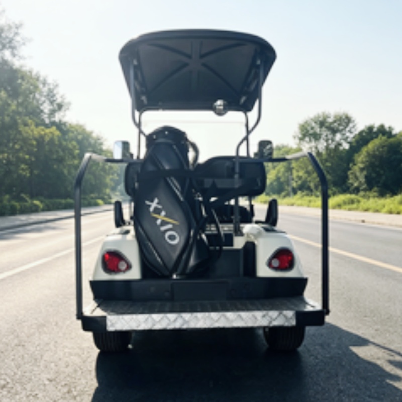 2026 New Launched 2 Seat 72V L - đánh giá và giá Golf Bag Stand Cart