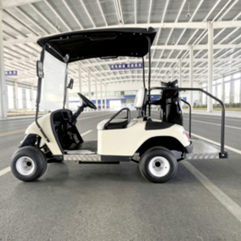 2026 New Launched 2 Seat 72V L - đánh giá và giá Golf Bag Stand Cart