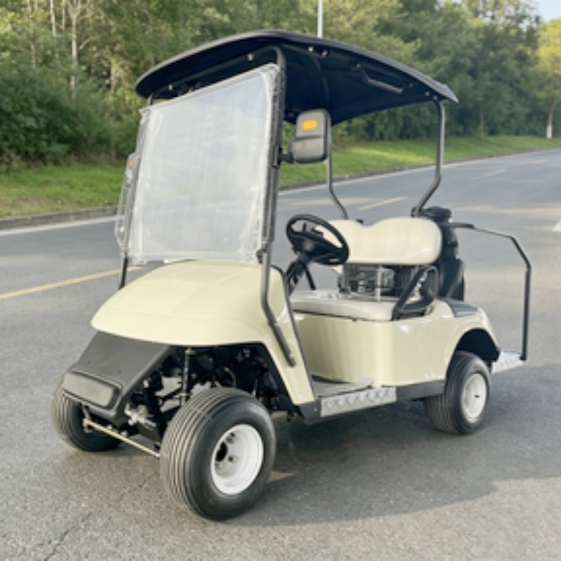 2026 New Launched 2 Seat 72V L - đánh giá và giá Golf Bag Stand Cart