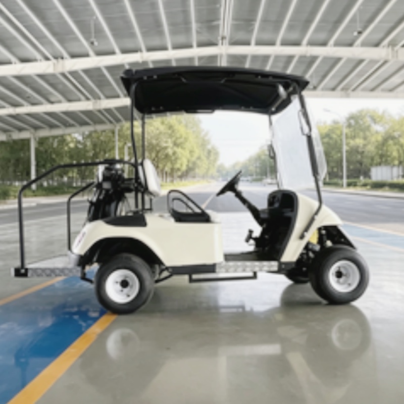 2026 New Launched 2 Seat 72V L - đánh giá và giá Golf Bag Stand Cart