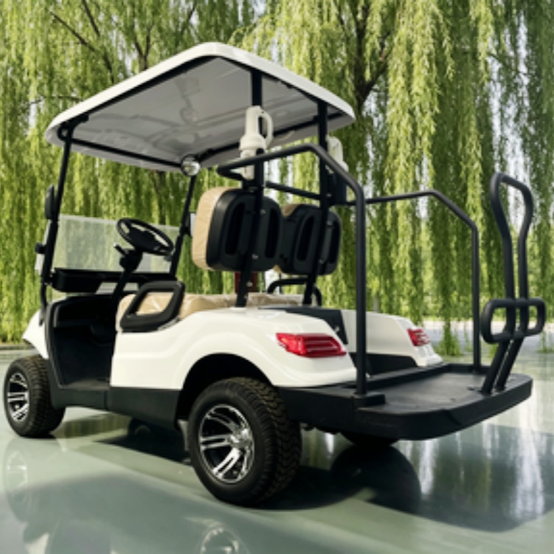 China Electric Golf Cart Lithi - đánh giá và giá Golf Bag Stand Cart