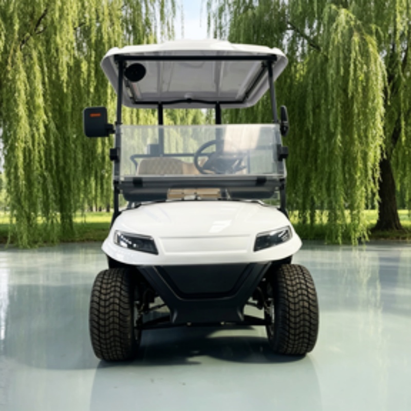 China Electric Golf Cart Lithi - đánh giá và giá Golf Bag Stand Cart