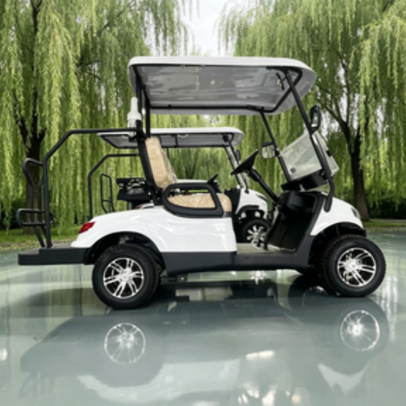 China Electric Golf Cart Lithi - đánh giá và giá Golf Bag Stand Cart