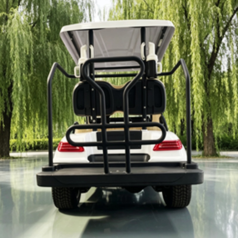 China Electric Golf Cart Lithi - đánh giá và giá Golf Bag Stand Cart