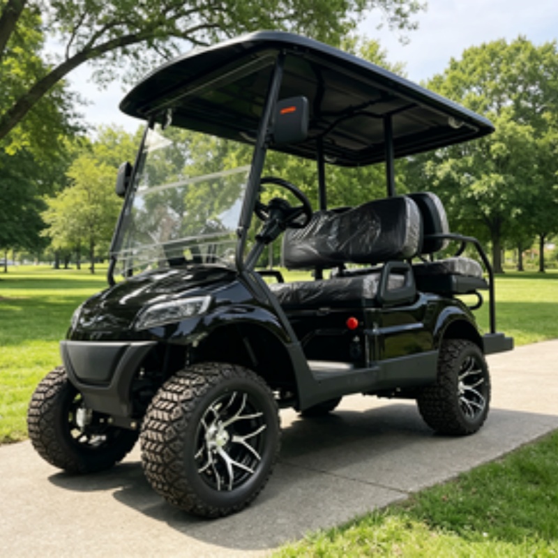 Golf Cart 2 Seater Electric Go - đánh giá và giá Golf Bag Stand Cart