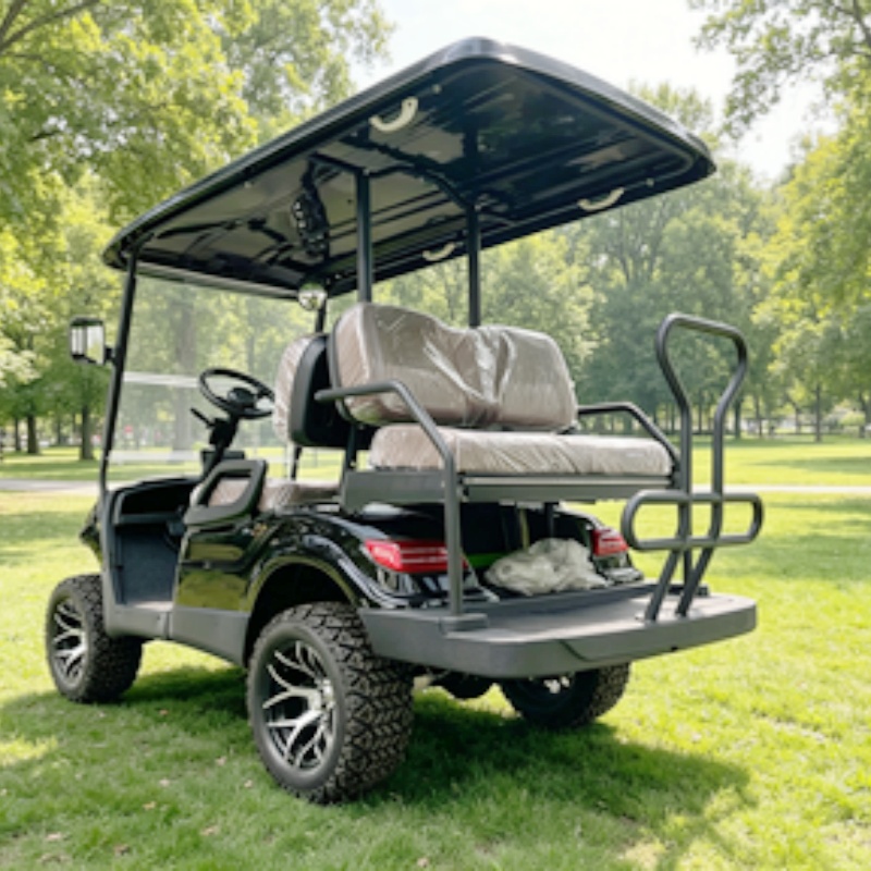 Golf Cart 2 Seater Electric Go - đánh giá và giá Golf Bag Stand Cart