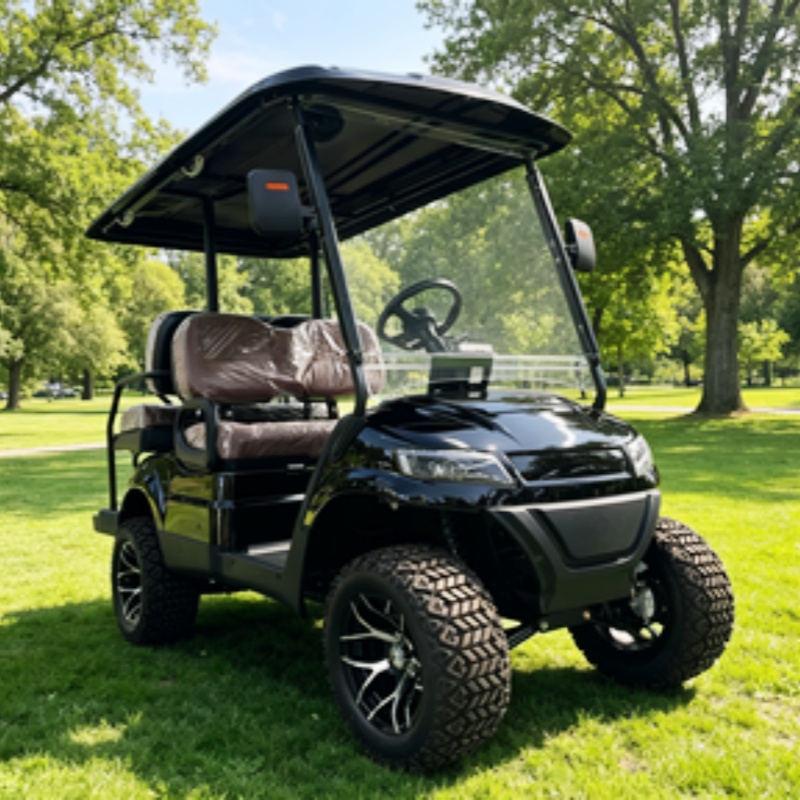 Golf Cart 2 Seater Electric Go - đánh giá và giá Golf Bag Stand Cart