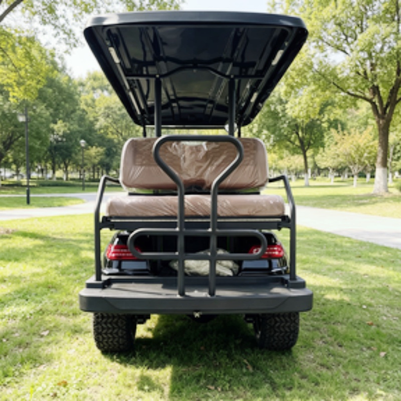 Golf Cart 2 Seater Electric Go - đánh giá và giá Golf Bag Stand Cart