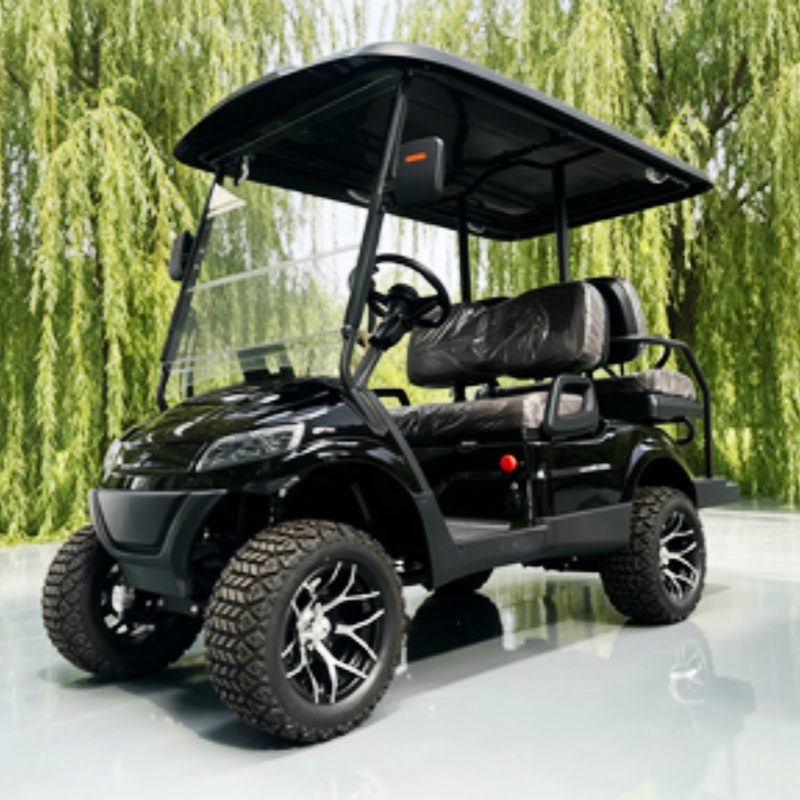 Lithium Battery Club 2 Seater  - đánh giá và giá Golf Bag Stand Cart