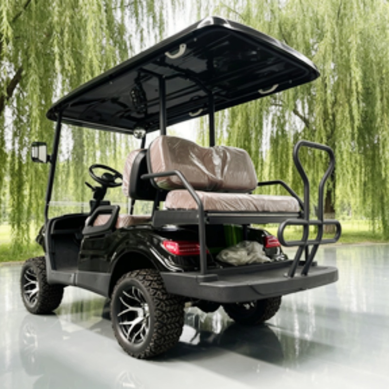Lithium Battery Club 2 Seater  - đánh giá và giá Golf Bag Stand Cart