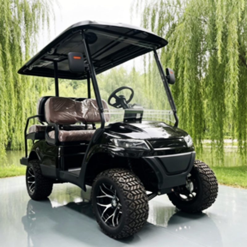 Lithium Battery Club 2 Seater  - đánh giá và giá Golf Bag Stand Cart